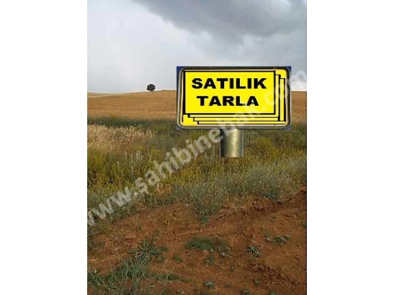 ISPARTA YALVAÇ SÜCÜLLÜ KAMIŞLI DA SATILIK 17000 M2 TARLA