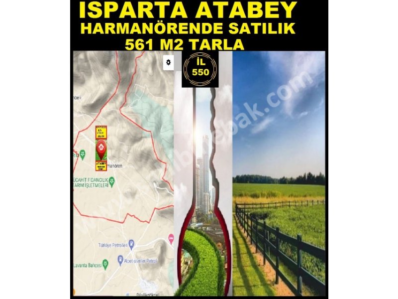 ISPARTA ATABEY HARMANÖRENDE SATILIK 561 M2 TARLA