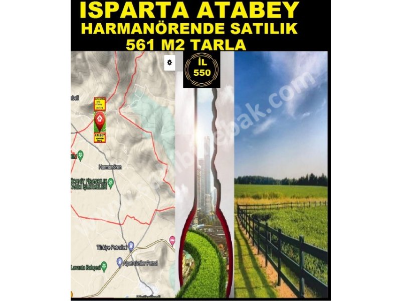 ISPARTA ATABEY HARMANÖRENDE SATILIK 561 M2 TARLA