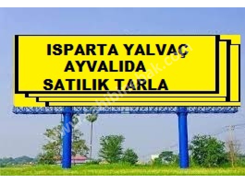 YALVAÇ AYVALI KÖYÜNDE SATILIK 5700 M2 TARLA