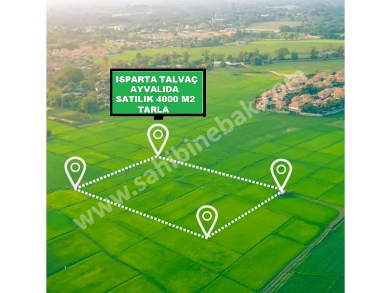 ISPARTA YALVAÇ AYVALI KÖYÜNDE SATILIK 4000 M2 TARLA