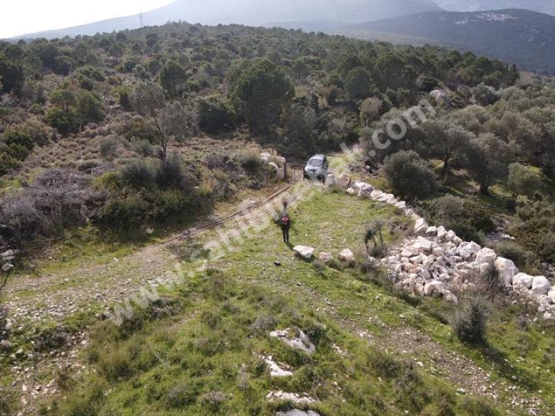 İZMİR KARABURUN EĞLENHOCA'DA SATILIK TARLA