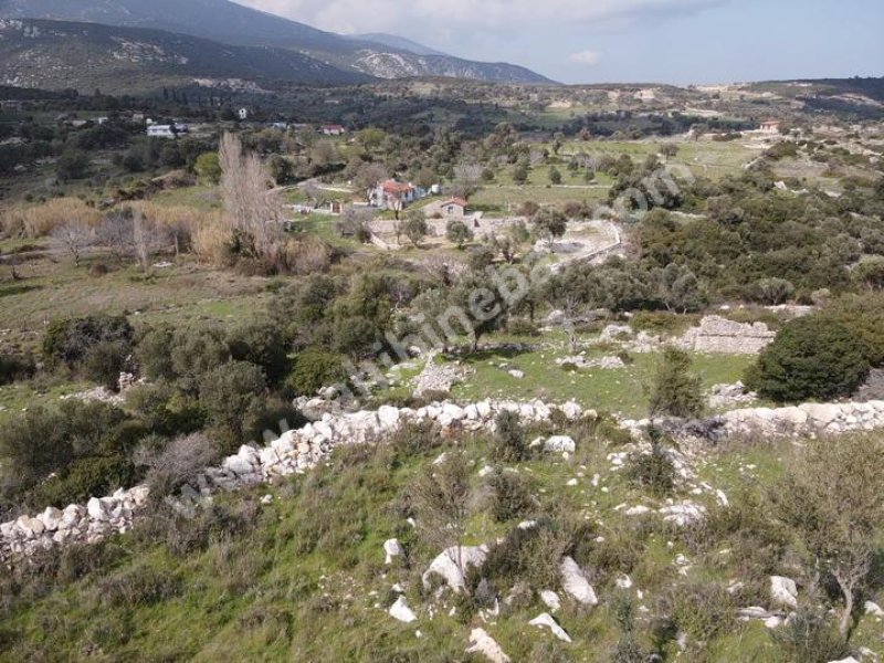 İZMİR KARABURUN EĞLENHOCA'DA SATILIK TARLA