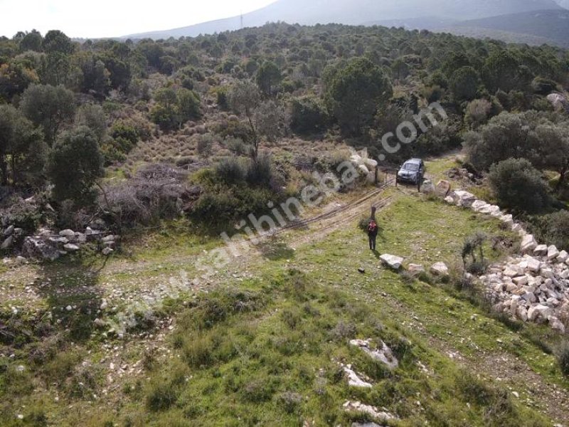 İZMİR KARABURUN EĞLENHOCA'DA SATILIK TARLA