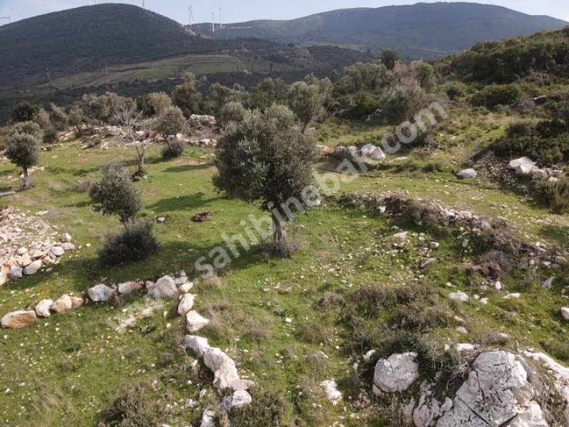 İZMİR KARABURUN EĞLENHOCA'DA SATILIK TARLA