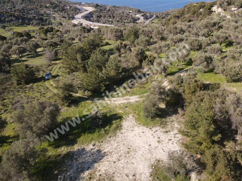 KARABURUN MORDOĞAN ARDIÇ YENİ YOL ÜSTÜ SATILIK TARLA