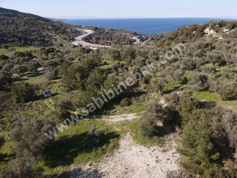 KARABURUN MORDOĞAN ARDIÇ YENİ YOL ÜSTÜ SATILIK TARLA