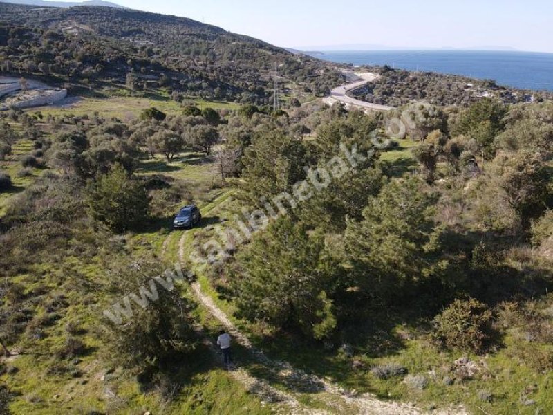 KARABURUN MORDOĞAN ARDIÇ YENİ YOL ÜSTÜ SATILIK TARLA