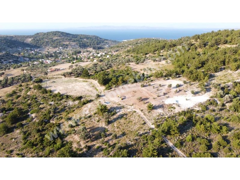 İZMİR KARABURUN MORDOĞAN ĶÖYÜNDE SATILIK TARLA