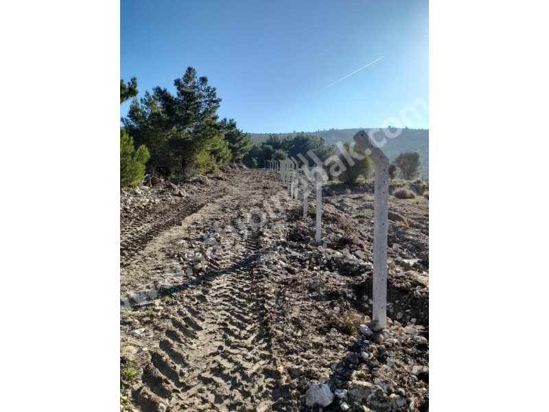 İZMİR KARABURUN MORDOĞAN ĶÖYÜNDE SATILIK TARLA
