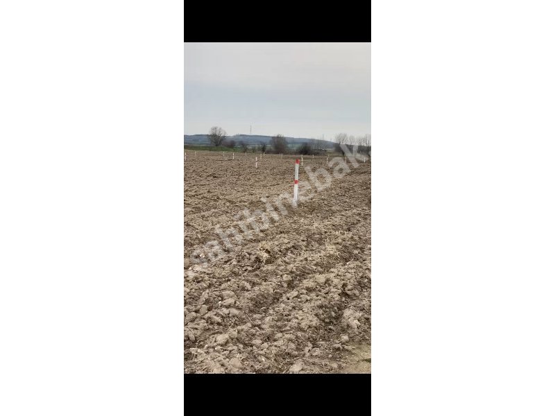 Kırklareli Vize Evrenli Köyün'de Satılık 1042 m2 Yatırımlık Arsa