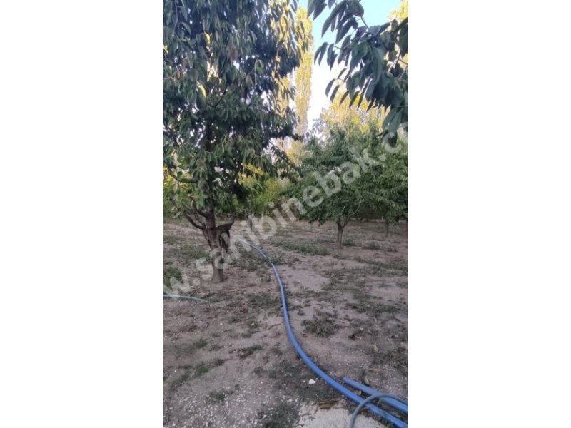 ISPARTA ŞARKİKARAAĞAÇ YUKARIDİNEK KÖYÜ KURUÇAY MEVKİİNDE SATILIK 7984 M2 BAHÇE