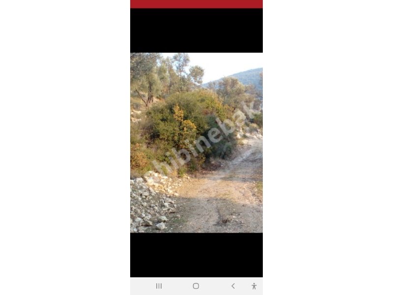 KARABURUN EĞLENHOCA ĶÖYÜNDE SATILIK TARLA