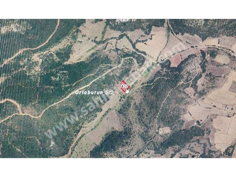 BURSA YENİŞEHİR MARMARACIK'TA SATILIK 2 DÖNÜM TARLA