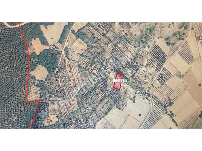 BURSA YENİŞEHİR YENİŞEHİR KAVAKLI'DA SATILIK 1700 M2 TARLA