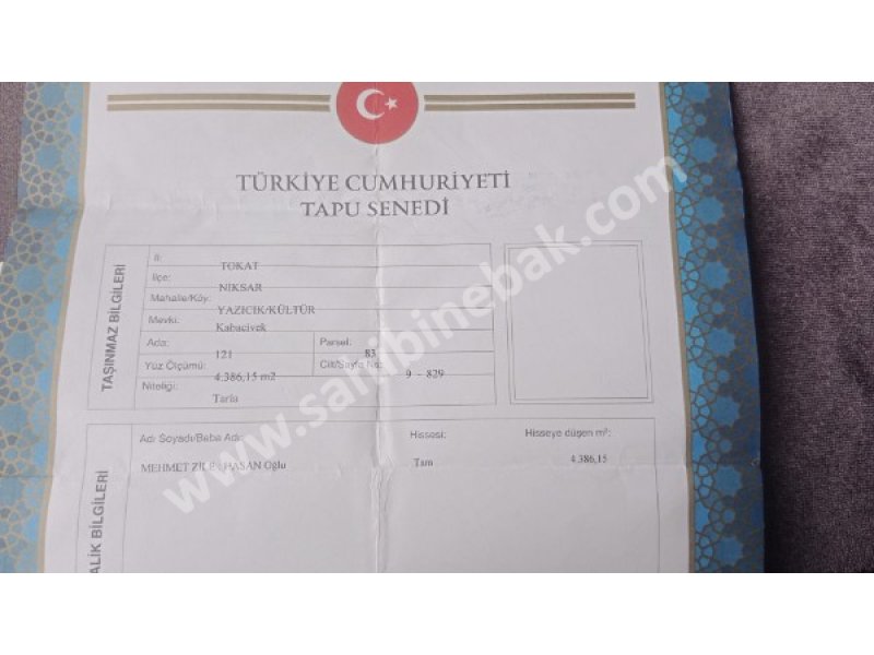 Üniversite Hocasından Cennetden bir köşe Niksarda, yaşama çiftlik kurma alanı