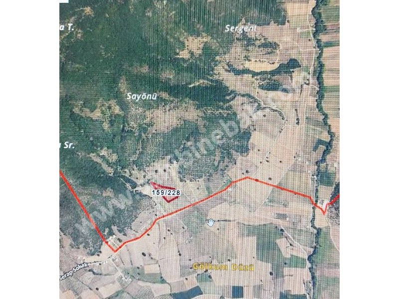 BURSA YENİŞEHİR BURCUN'DA SATILIK 7224 m2 ARMUT BAHÇESİ