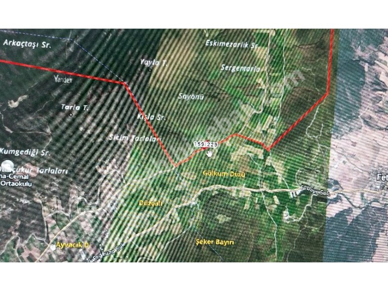 BURSA YENİŞEHİR BURCUN'DA SATILIK 7610m2 ARMUT BAHÇESİ