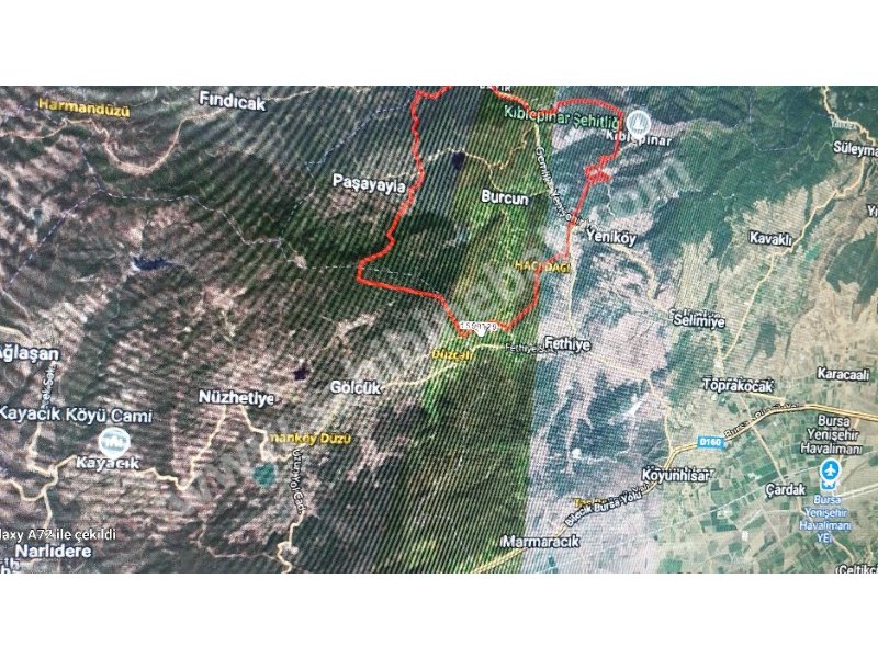 BURSA YENİŞEHİR BURCUN'DA SATILIK 7610m2 ARMUT BAHÇESİ