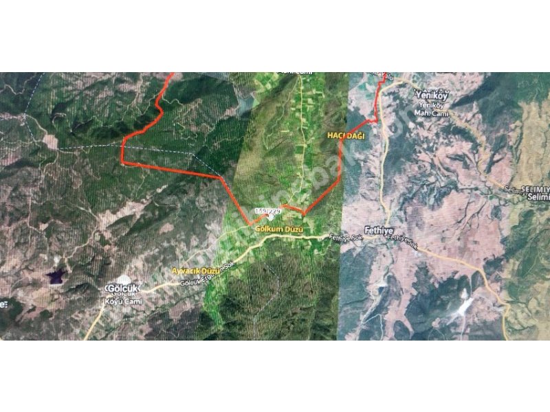BURSA YENİŞEHİR BURCUN'DA SATILIK 7610m2 ARMUT BAHÇESİ