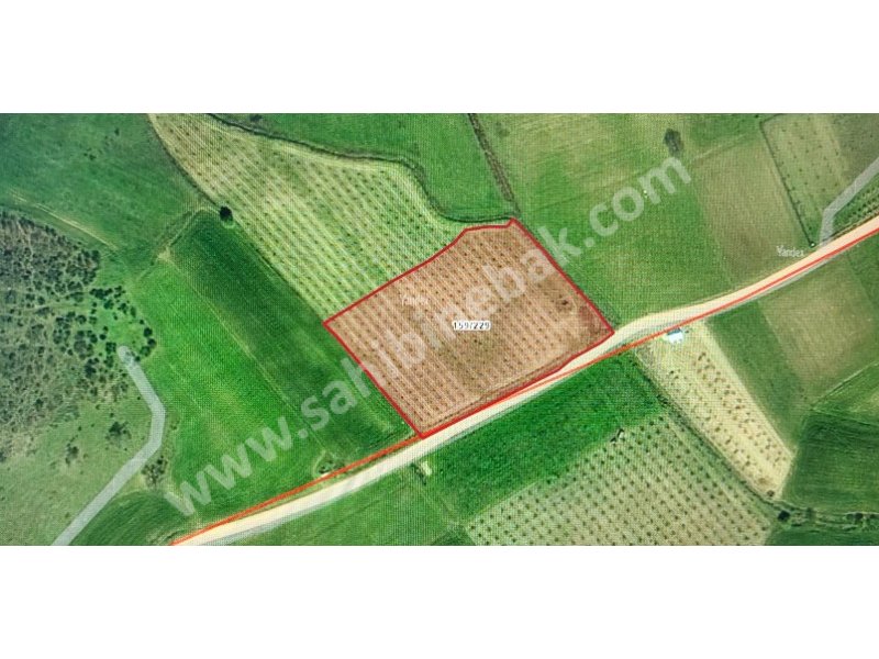 BURSA YENİŞEHİR BURCUN'DA SATILIK 7610m2 ARMUT BAHÇESİ