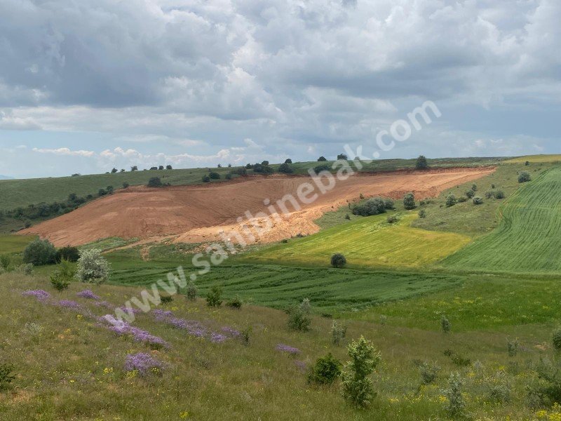 ISPARTA YALVAÇ SÜCÜLLÜDE SATILIK 35122 M2 TARLA
