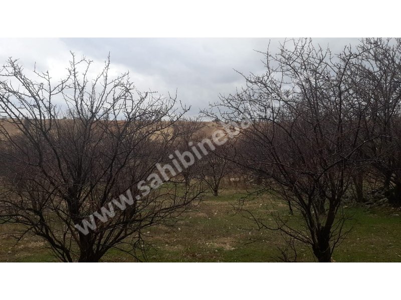 ISPARTA YALVAÇ KÖRKÜLERDE SATILIK 39342 M2 BADEMLİK