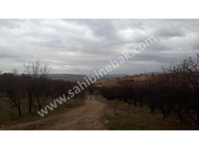ISPARTA YALVAÇ KÖRKÜLERDE SATILIK 39342 M2 BADEMLİK