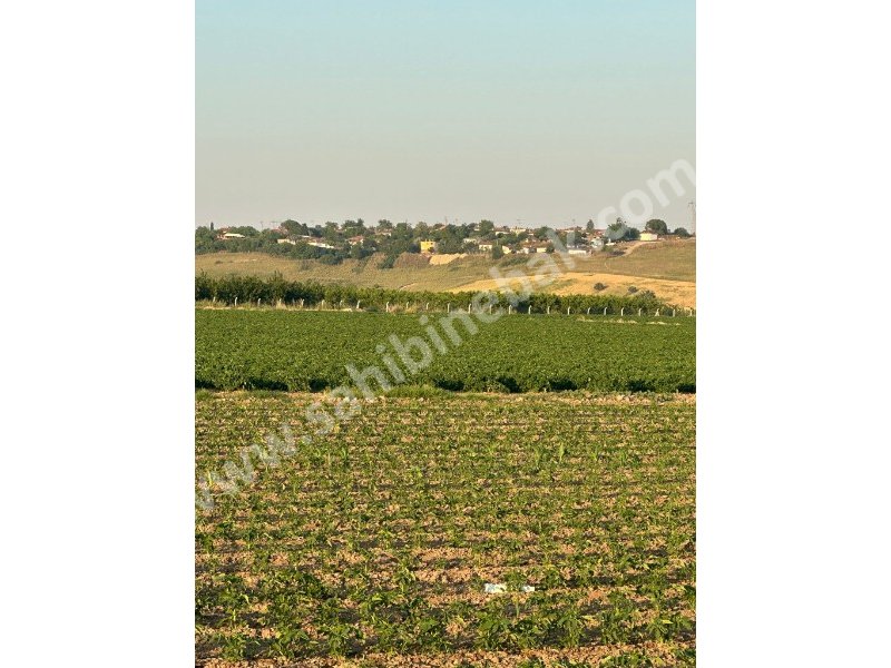 BURSA KARACABEY GÖNÜ KÖYÜNDE SATILIK 3108 m2 TARLA