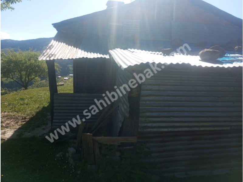 BURSA KILIÇ TAN ŞAVŞAT YAVUZKÖY DE SATILIK 3113 m2 EV VE BAHÇE