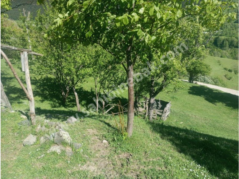 BURSA KILIÇ TAN ŞAVŞAT YAVUZKÖY DE SATILIK 3113 m2 EV VE BAHÇE