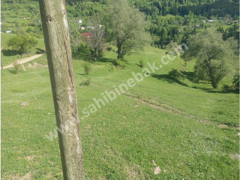 BURSA KILIÇ TAN ŞAVŞAT YAVUZKÖY DE SATILIK 3113 m2 EV VE BAHÇE
