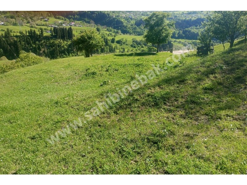 BURSA KILIÇ TAN ŞAVŞAT YAVUZKÖY DE SATILIK 3113 m2 EV VE BAHÇE