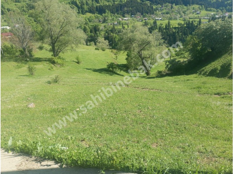 BURSA KILIÇ TAN ŞAVŞAT YAVUZKÖY DE SATILIK 3113 m2 EV VE BAHÇE