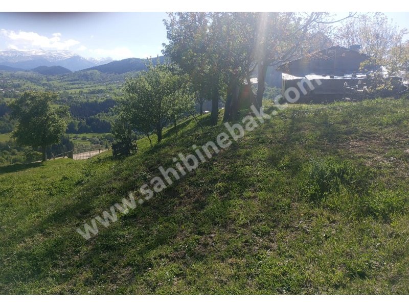 BURSA KILIÇ TAN ŞAVŞAT YAVUZKÖY DE SATILIK 3113 m2 EV VE BAHÇE
