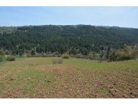 Bolu Mengen Kayışlar Köyün'de Sahibinden Satılık 1350 m2 Tarla