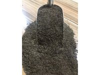 Arapsaçı kıvırcık marul tohumu 1 kg