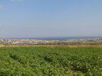 Tekirdağ Süleymanpaşa Yağcı'da deniz ve şehir manzaralı arazi