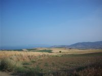 TEKİRDAĞ BARBAROS'TA LİMAN YOLUNDA SATILIK 50.850 M2 ARAZİ