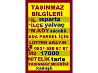 ISPARTA YALVAÇ SÜCÜLLÜ KAMIŞLI DA SATILIK 17000 M2 TARLA