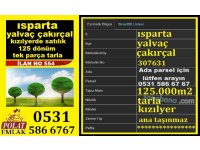 ISPARTA YALVACIN EN BÜYÜK ARAZİSİ  125000 M2 ARAZİ SATILIK