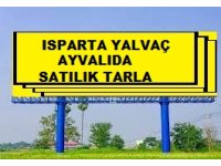 YALVAÇ AYVALI KÖYÜNDE SATILIK 5700 M2 TARLA