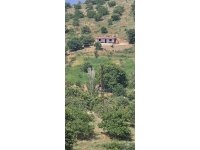 İZMİR TİRE KÜÇÜKKEMERDERE SATILIK 14500 M2 CEVİZ TARLASI