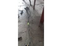 Fiat Marea sağ arka kapı iç tesisat