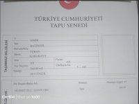 İzmir Bayındır Çiftlik yapmaya, Hobi bahçesi yapmaya uygun zeytinlik arazi