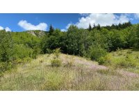 ARTVİN ŞAVŞAT KİREÇLİ'DE SATILIK 1341m2 TARLA